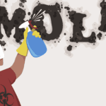 Cleaning mold away | Custom Klimates